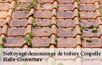 Nettoyage demoussage de toiture