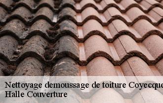 Nettoyage demoussage de toiture 62560