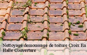 Nettoyage demoussage de toiture