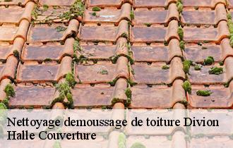 Nettoyage demoussage de toiture