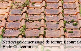 Nettoyage demoussage de toiture