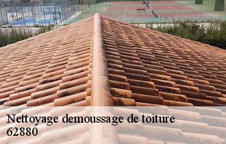 Nettoyage demoussage de toiture 62880