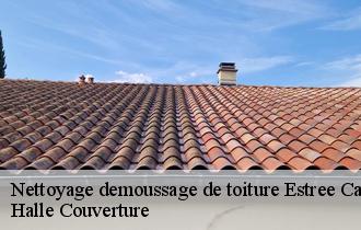 Nettoyage demoussage de toiture estree-cauchy-62690 Halle Couverture