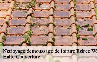 Nettoyage demoussage de toiture
