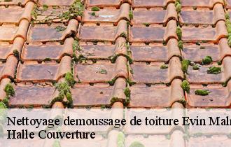 Nettoyage demoussage de toiture