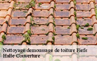 Nettoyage demoussage de toiture