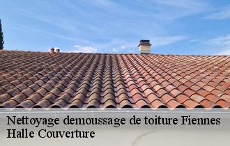 Nettoyage demoussage de toiture fiennes-62132 Halle Couverture