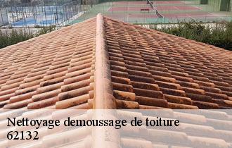 Nettoyage demoussage de toiture 62132
