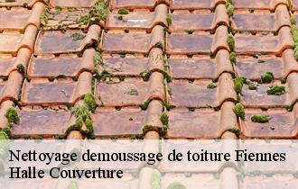 Nettoyage demoussage de toiture