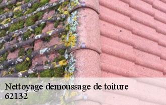 Nettoyage demoussage de toiture 62132