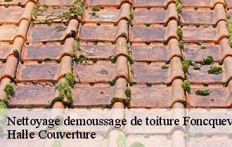 Nettoyage demoussage de toiture