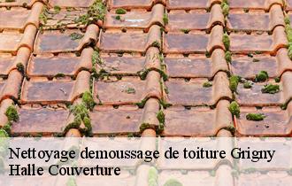 Nettoyage demoussage de toiture