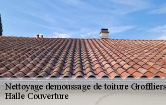 Nettoyage demoussage de toiture groffliers-62600 Halle Couverture