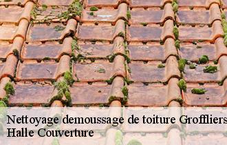 Nettoyage demoussage de toiture