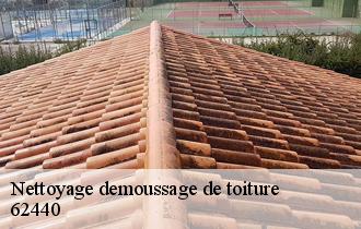 Nettoyage demoussage de toiture 62440