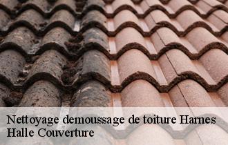 Nettoyage demoussage de toiture 62440