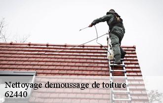 Nettoyage demoussage de toiture
