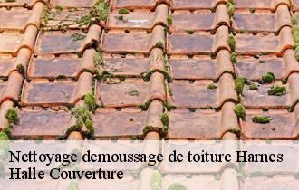 Nettoyage demoussage de toiture