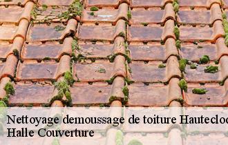 Nettoyage demoussage de toiture