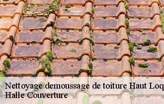Nettoyage demoussage de toiture