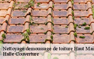 Nettoyage demoussage de toiture