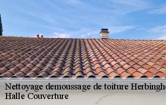 Nettoyage demoussage de toiture herbinghen-62850 Halle Couverture