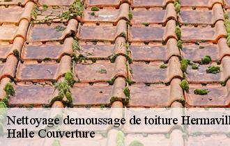 Nettoyage demoussage de toiture