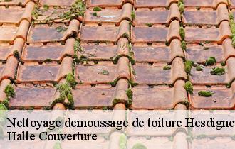 Nettoyage demoussage de toiture