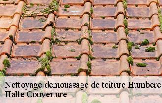 Nettoyage demoussage de toiture