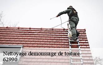 Nettoyage demoussage de toiture