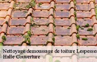 Nettoyage demoussage de toiture