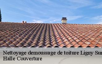 Nettoyage demoussage de toiture ligny-sur-canche-62270 Halle Couverture