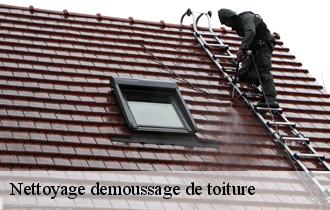 Nettoyage demoussage de toiture 62270