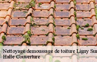 Nettoyage demoussage de toiture