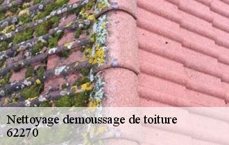 Nettoyage demoussage de toiture 62270