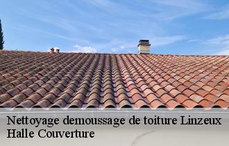 Nettoyage demoussage de toiture linzeux-62270 Halle Couverture