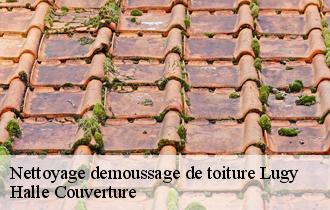 Nettoyage demoussage de toiture