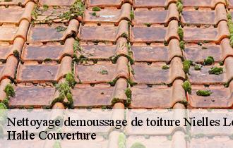 Nettoyage demoussage de toiture