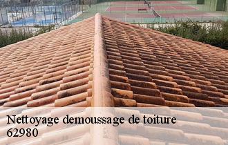 Nettoyage demoussage de toiture 62980