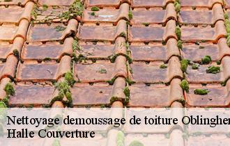 Nettoyage demoussage de toiture