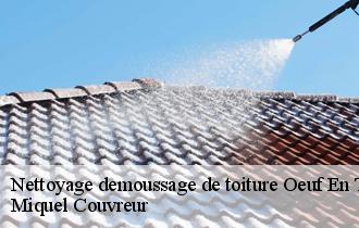 Nettoyage demoussage de toiture  oeuf-en-ternois-62130 Miquel Couvreur