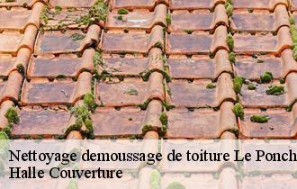 Nettoyage demoussage de toiture