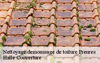 Nettoyage demoussage de toiture