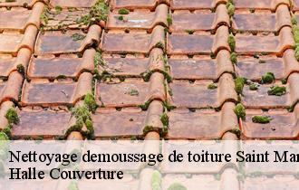 Nettoyage demoussage de toiture