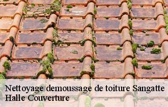 Nettoyage demoussage de toiture