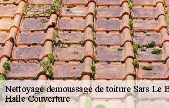 Nettoyage demoussage de toiture