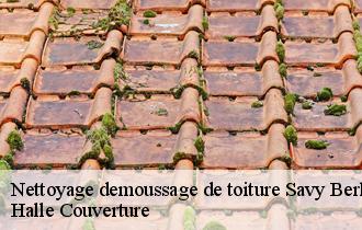 Nettoyage demoussage de toiture