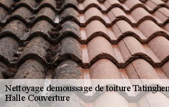 Nettoyage demoussage de toiture 62500