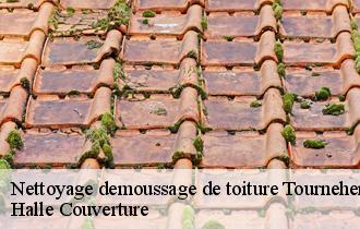 Nettoyage demoussage de toiture