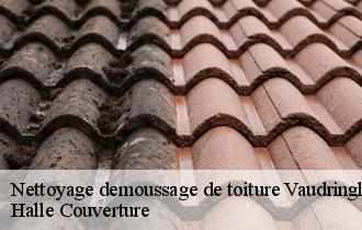 Nettoyage demoussage de toiture 62380